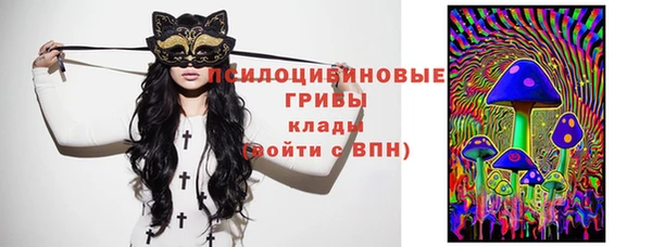 метадон Кодинск